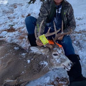 Meet your Posher, William